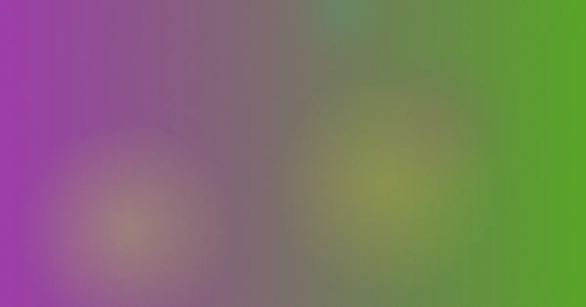 织田真子电影值得吗？清单问答